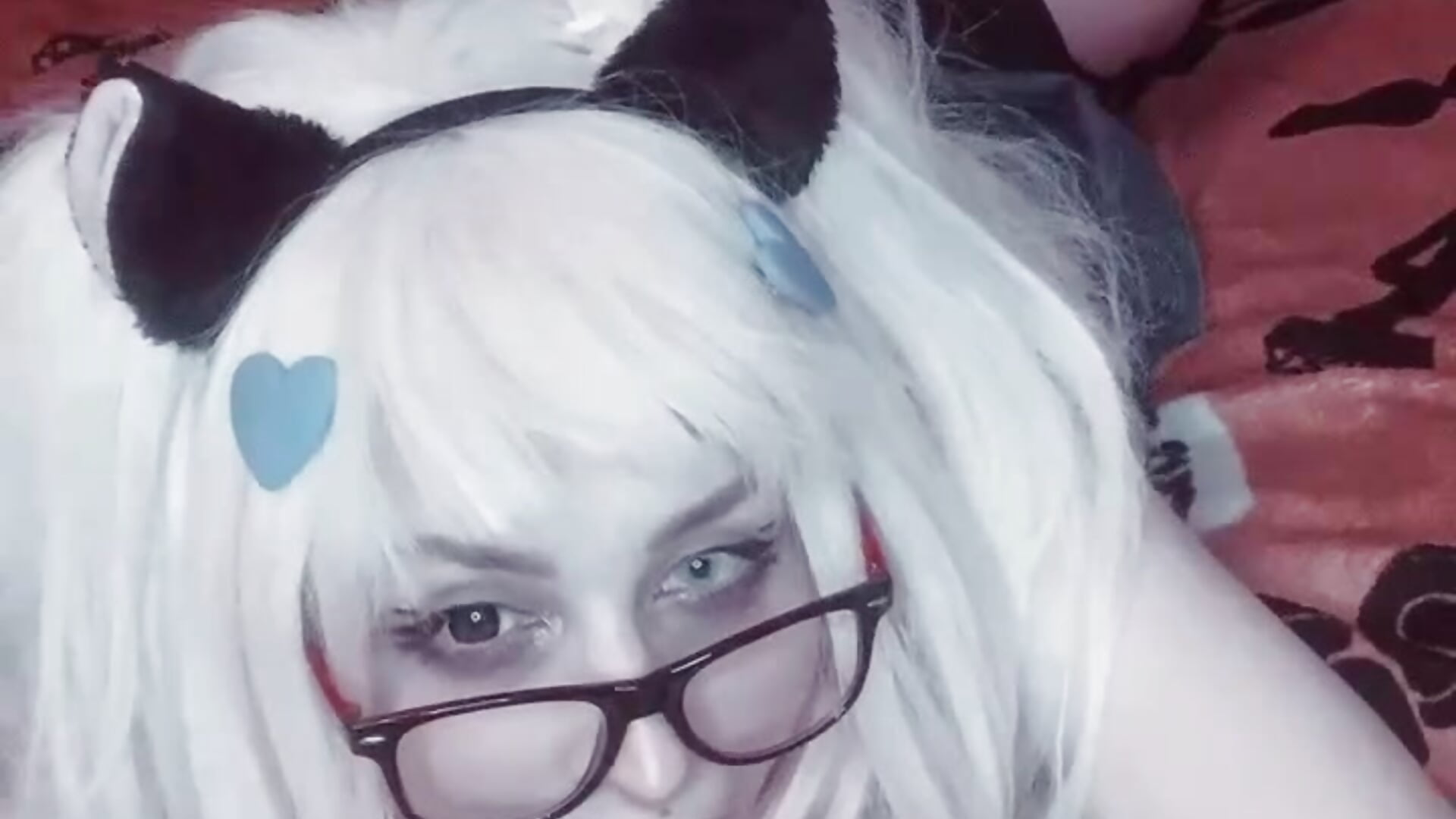 lov kitty