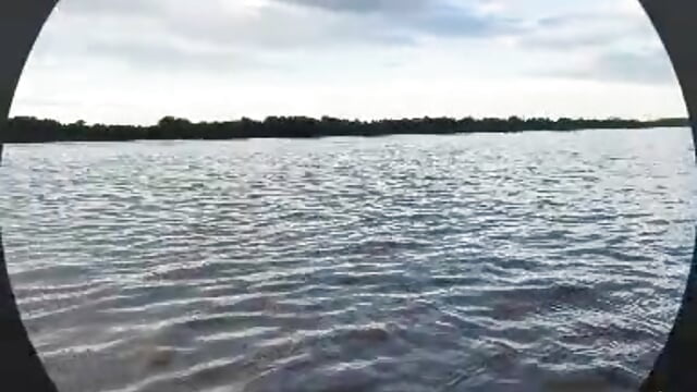 freedom - video by Adelinetre cam model
