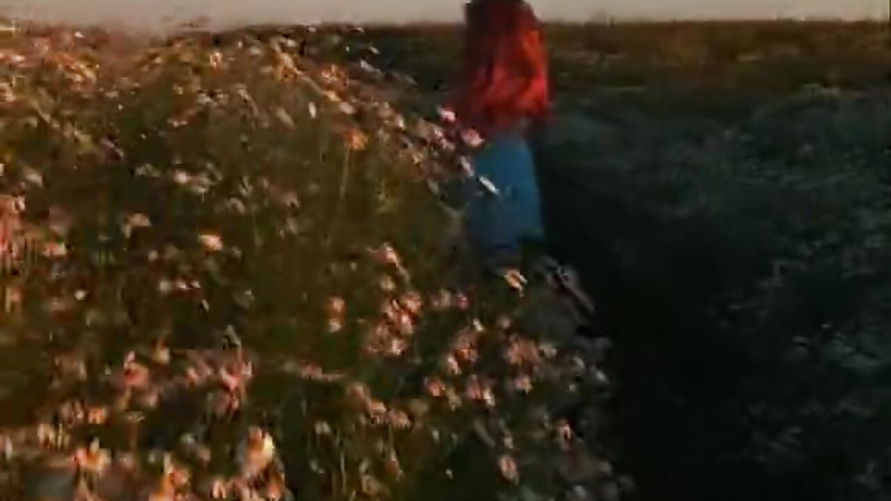 magical dream - vidéo du modèle de showcams ShanteQuirin