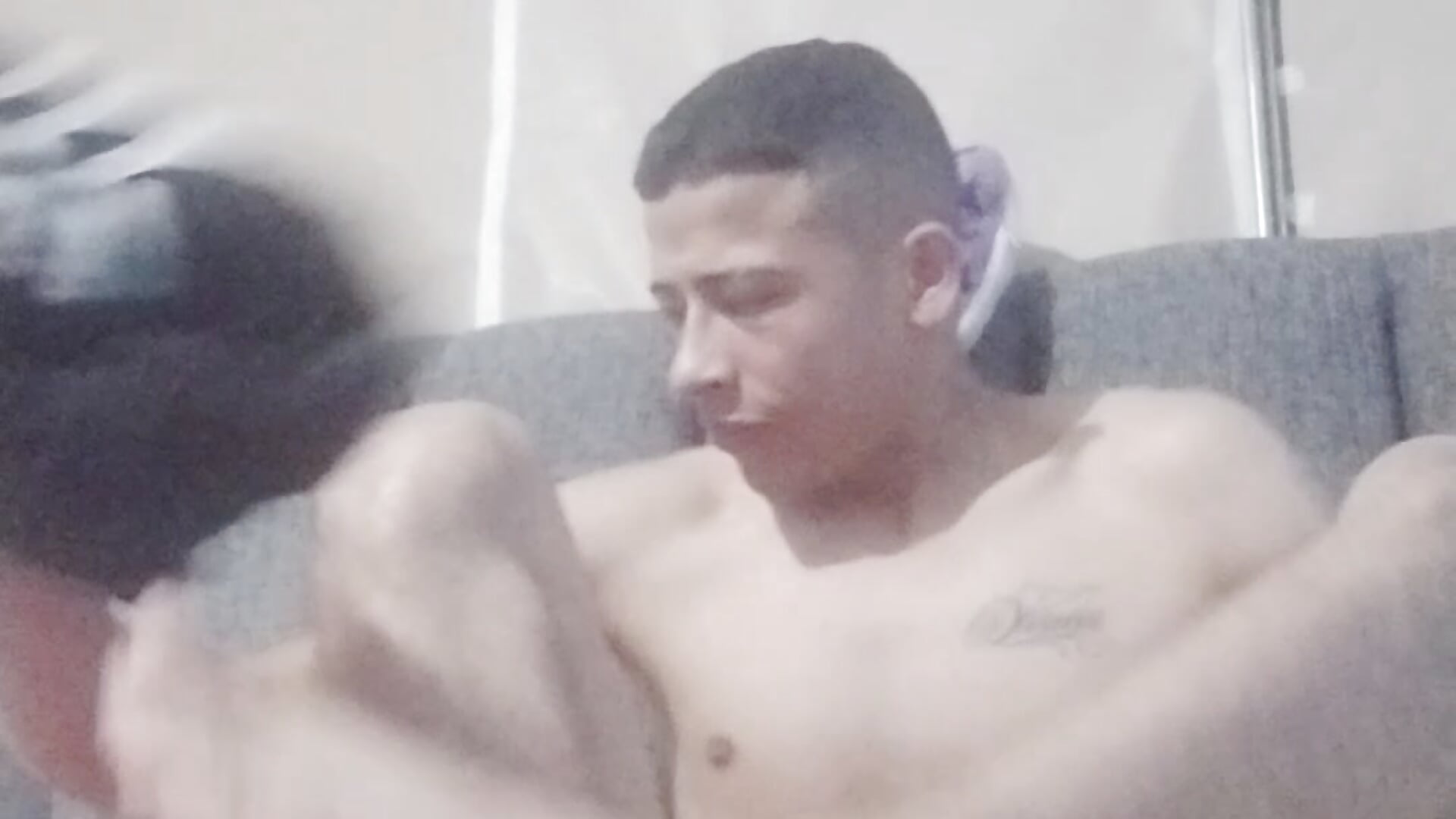 Vídeo  8739 de modelo de vídeos WalkupPolka – em alta