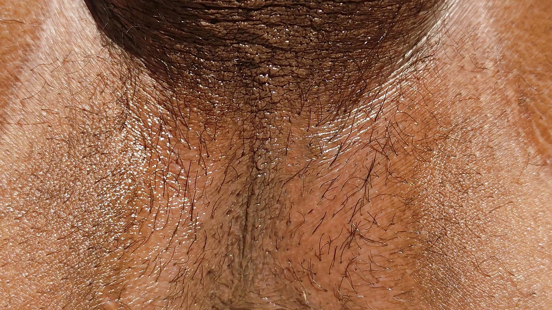 Javi anal