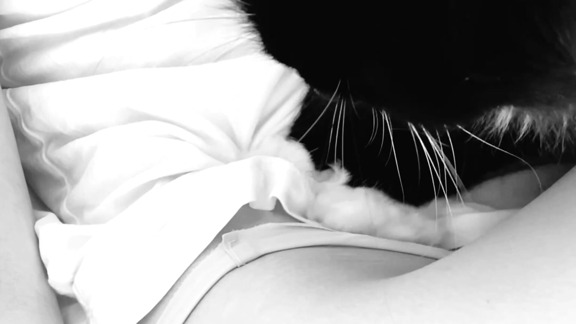 Gently – video modela na kameri sincitycoly
