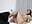 Playing with my tight asshole - video by Olivia_jazz cam model
