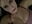 Playing with myself by phone - video by Olivia_jazz cam model