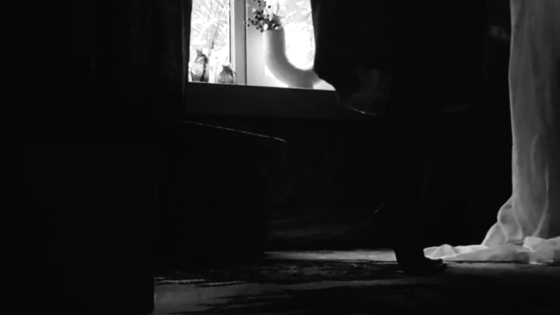 1000032712 - video by CarolynXJoy