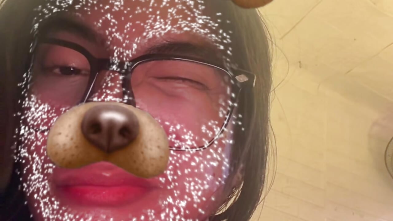 Stella_Vixen