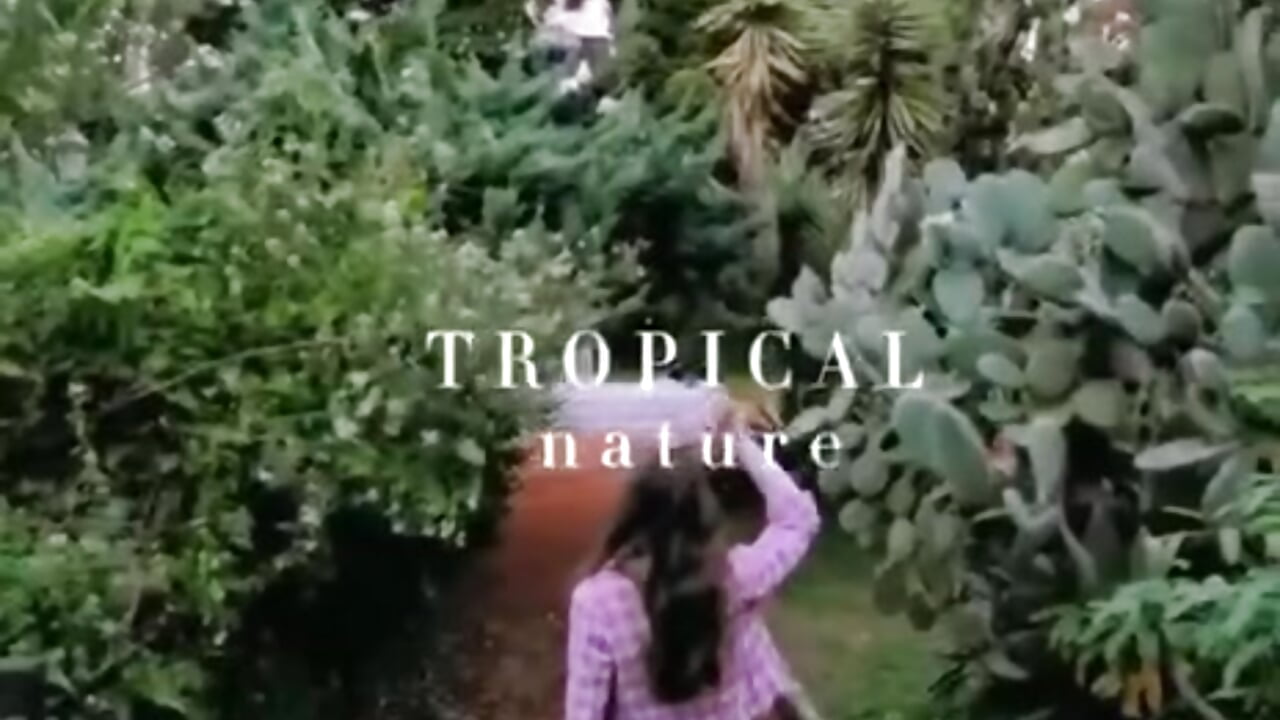 tropical forest video - video by JacklynSwisshelm cam model