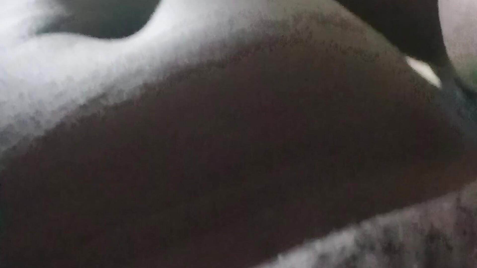 Shadylimo - video av kip-sang cam model