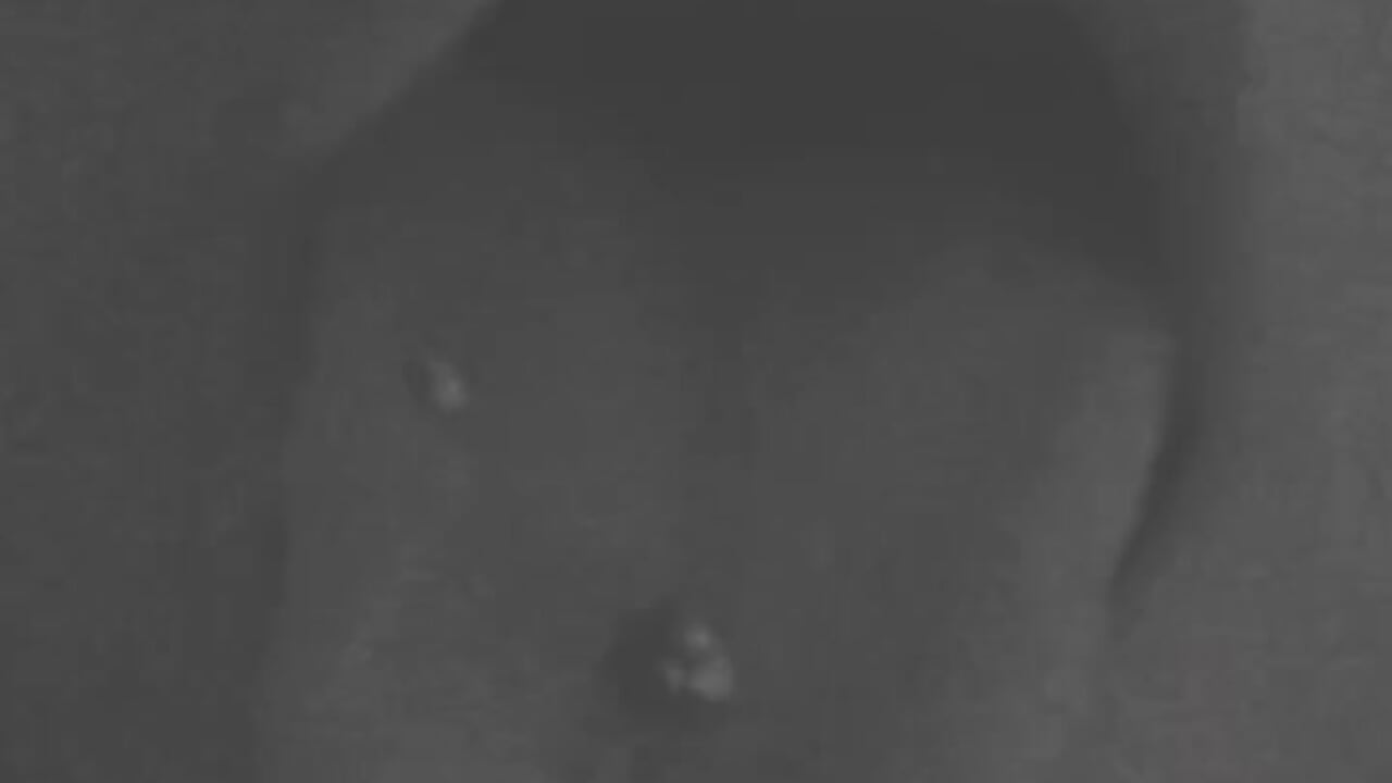 profile-intro-video-1785900545 - video by Crystaldarliing_ cam model