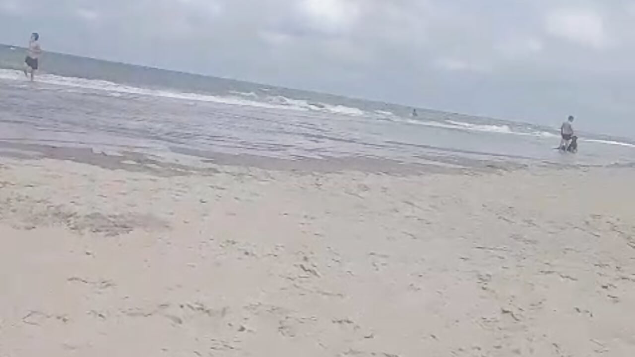 1000077777 - video by mehdi59143