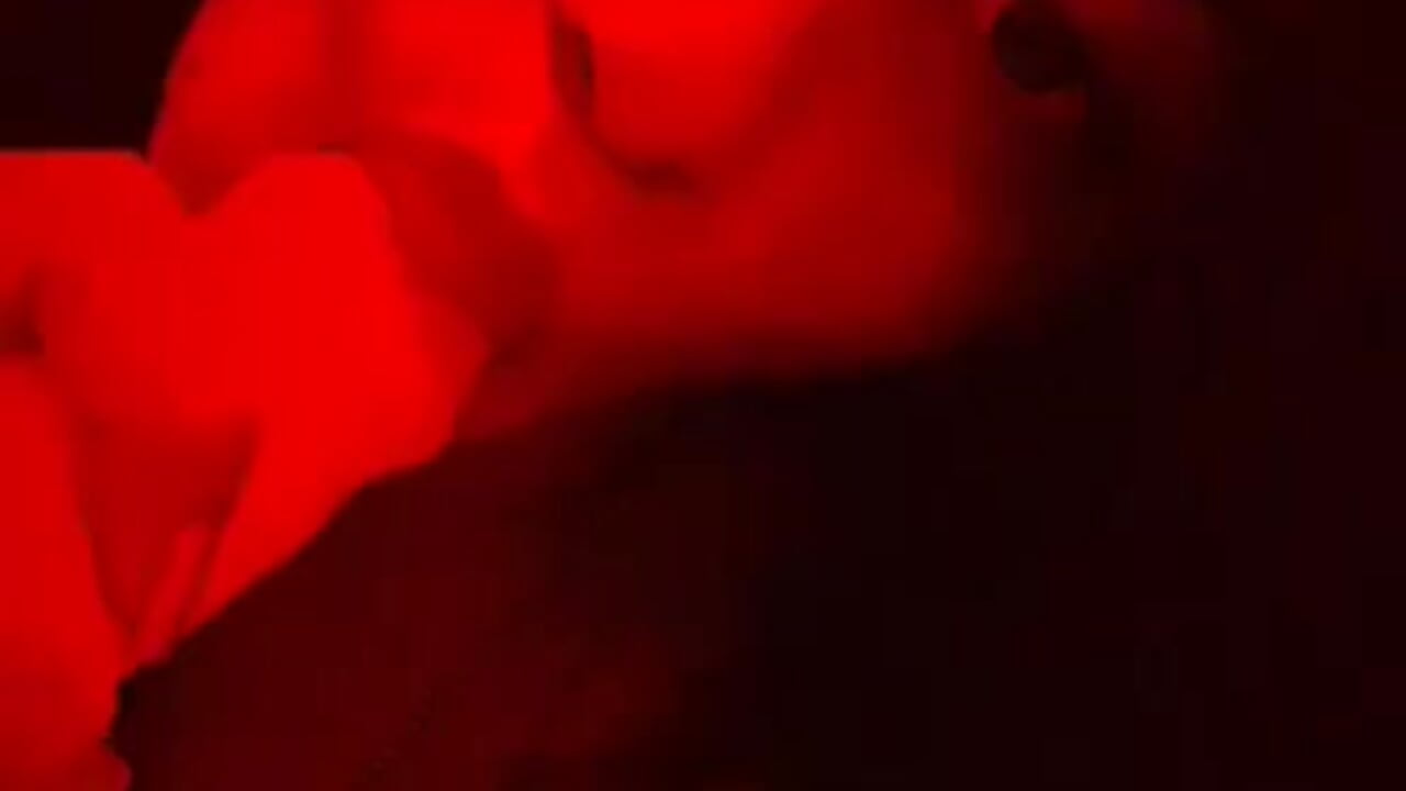 red - video di aleja_diamond modella di cam