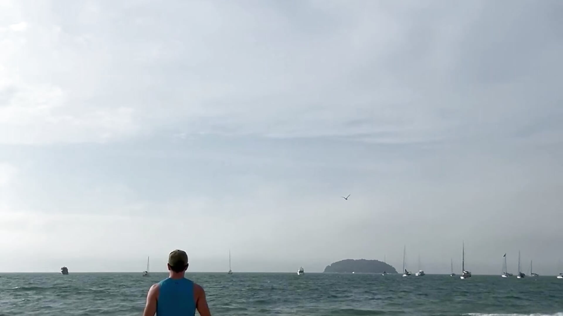 IMG_1876 - video by lucasmalhado25