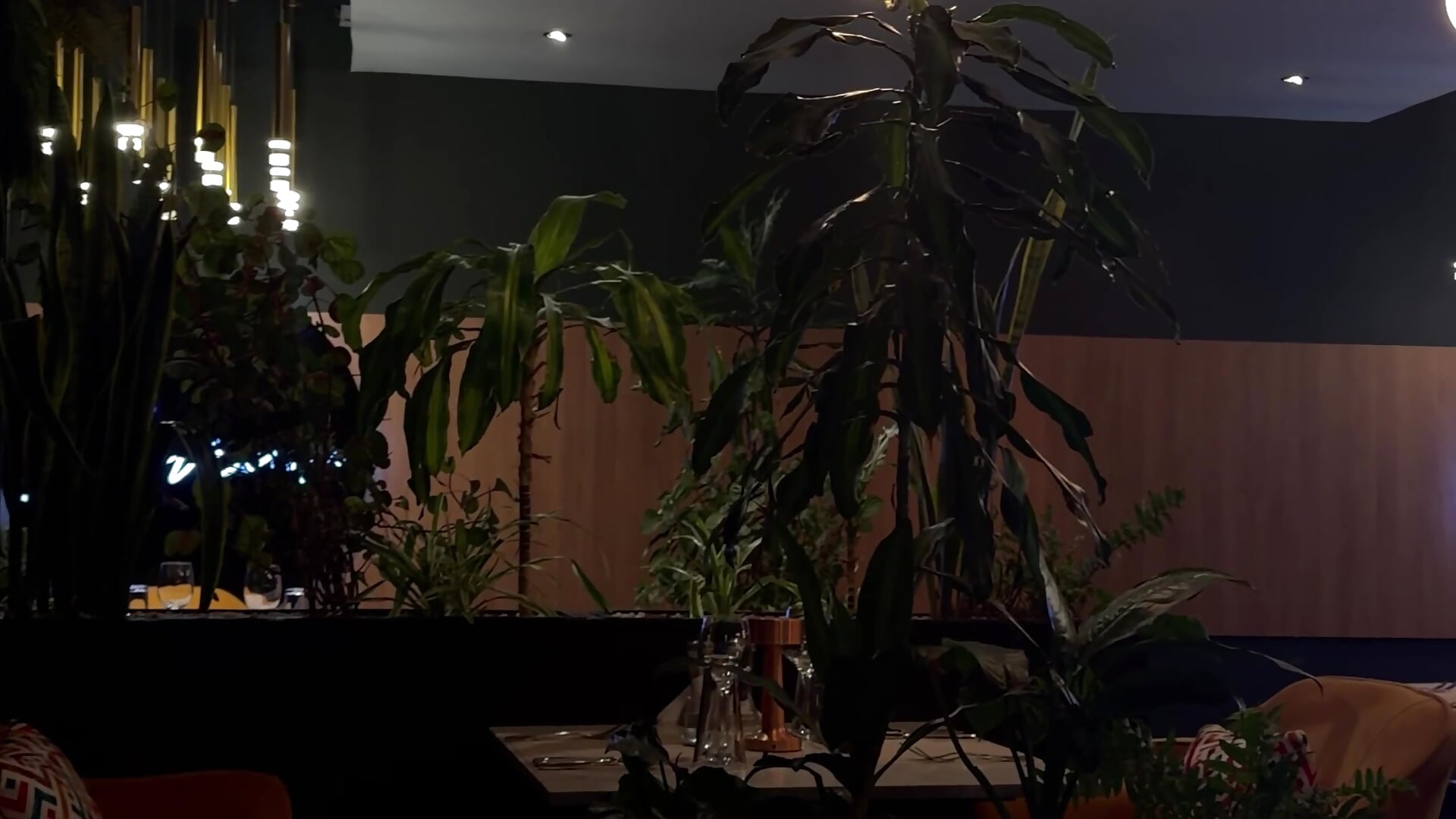 Fine dining - video oleh model kamera Zarilynne