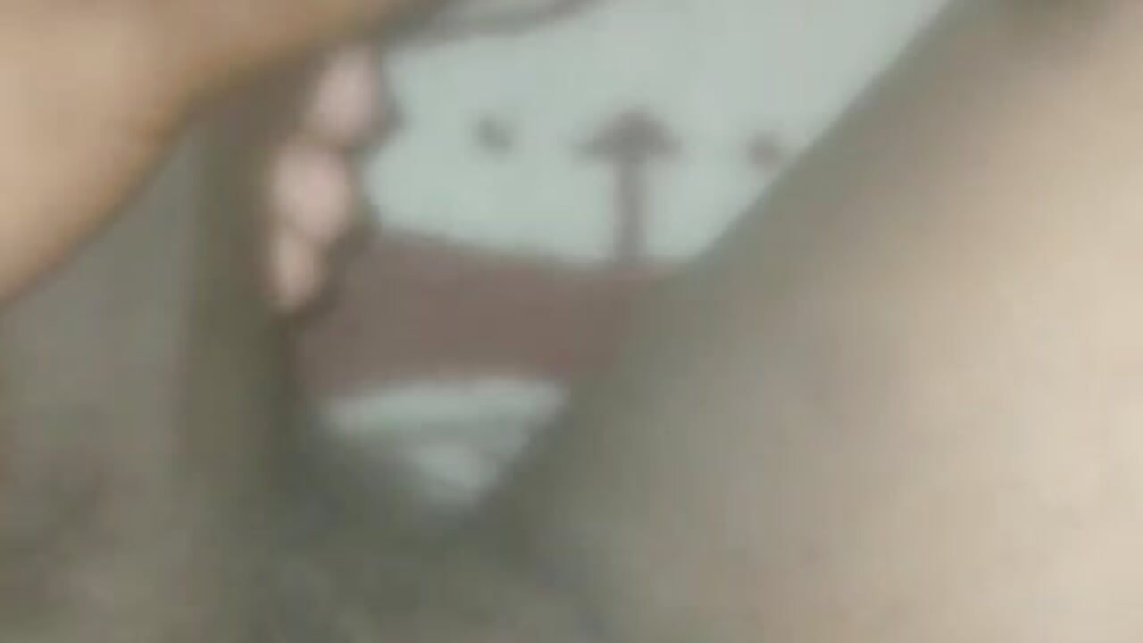 Horse 🐎 - video PMB_Girl kameramallilta