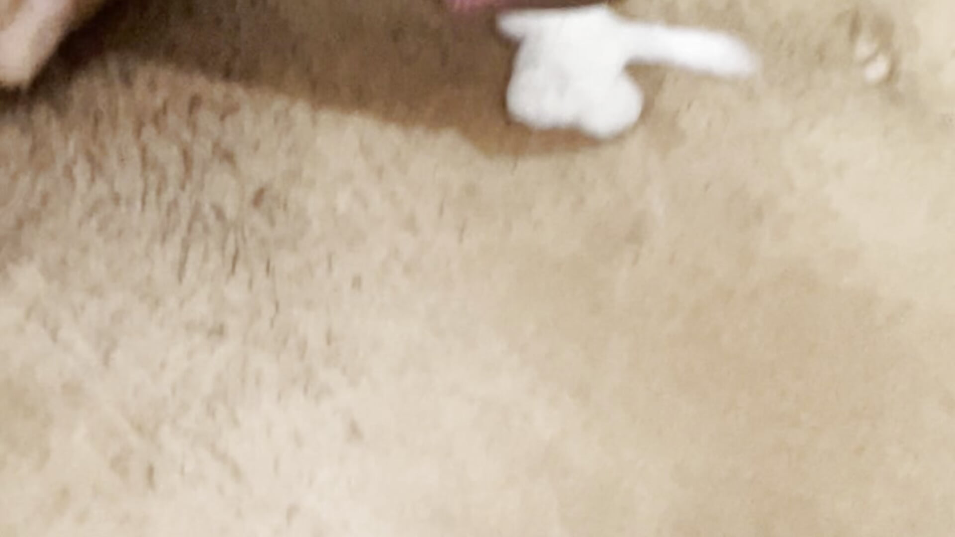 18ZOLDRICK