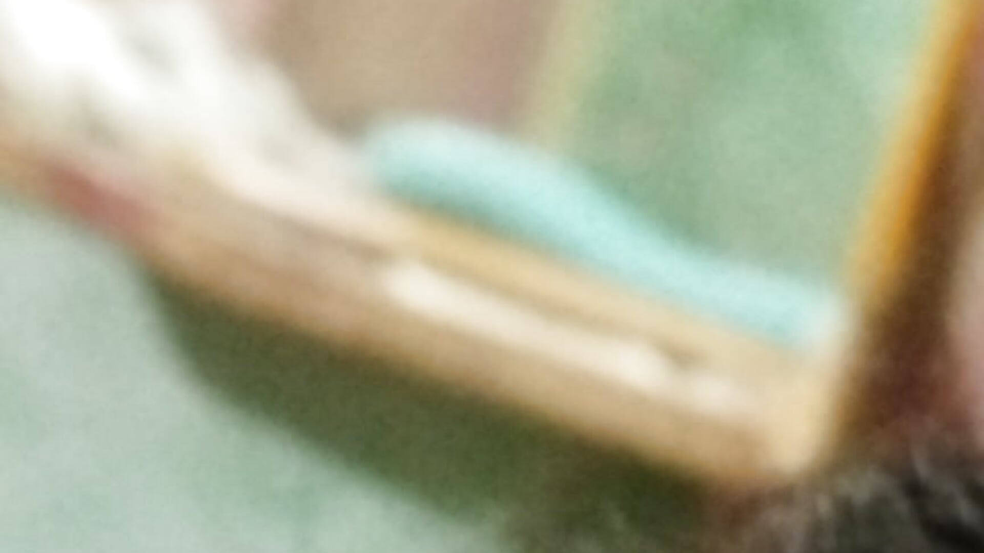 1000149072
