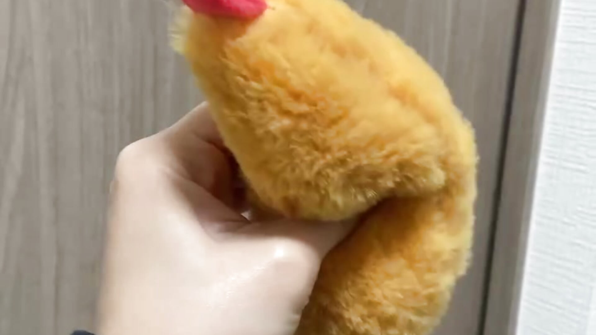 🍤 – video modela na kameri popochan_pp