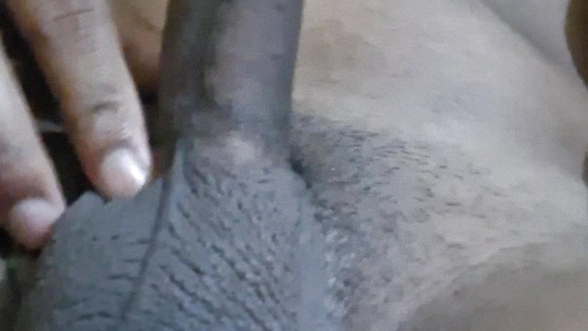 1000073516 - video by Robinhuda