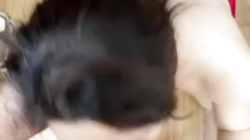 口交 暴插骚姐姐
