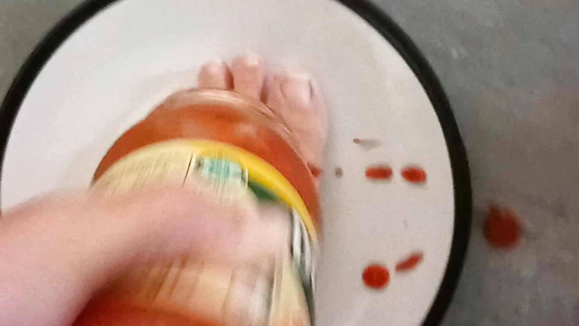 Spaghetti bologna