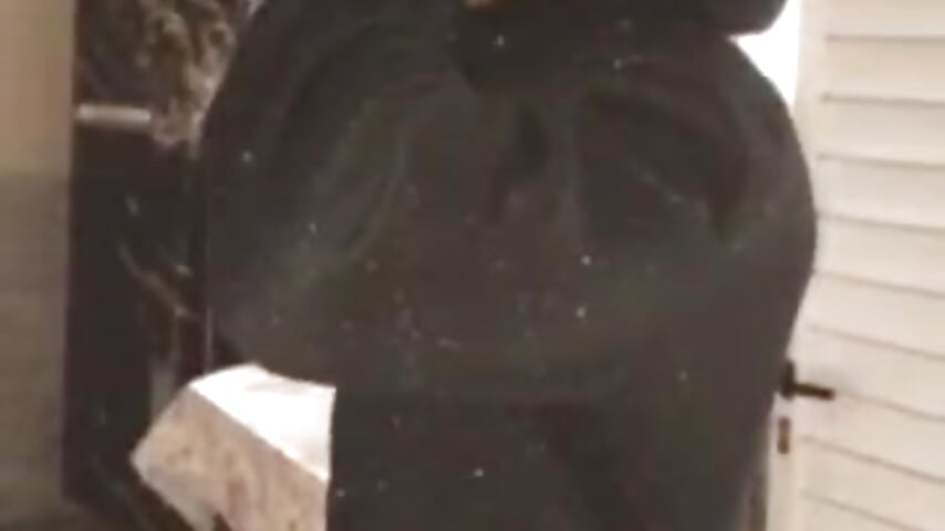 Welcome - vídeo de la modelo de cam ElLobo11