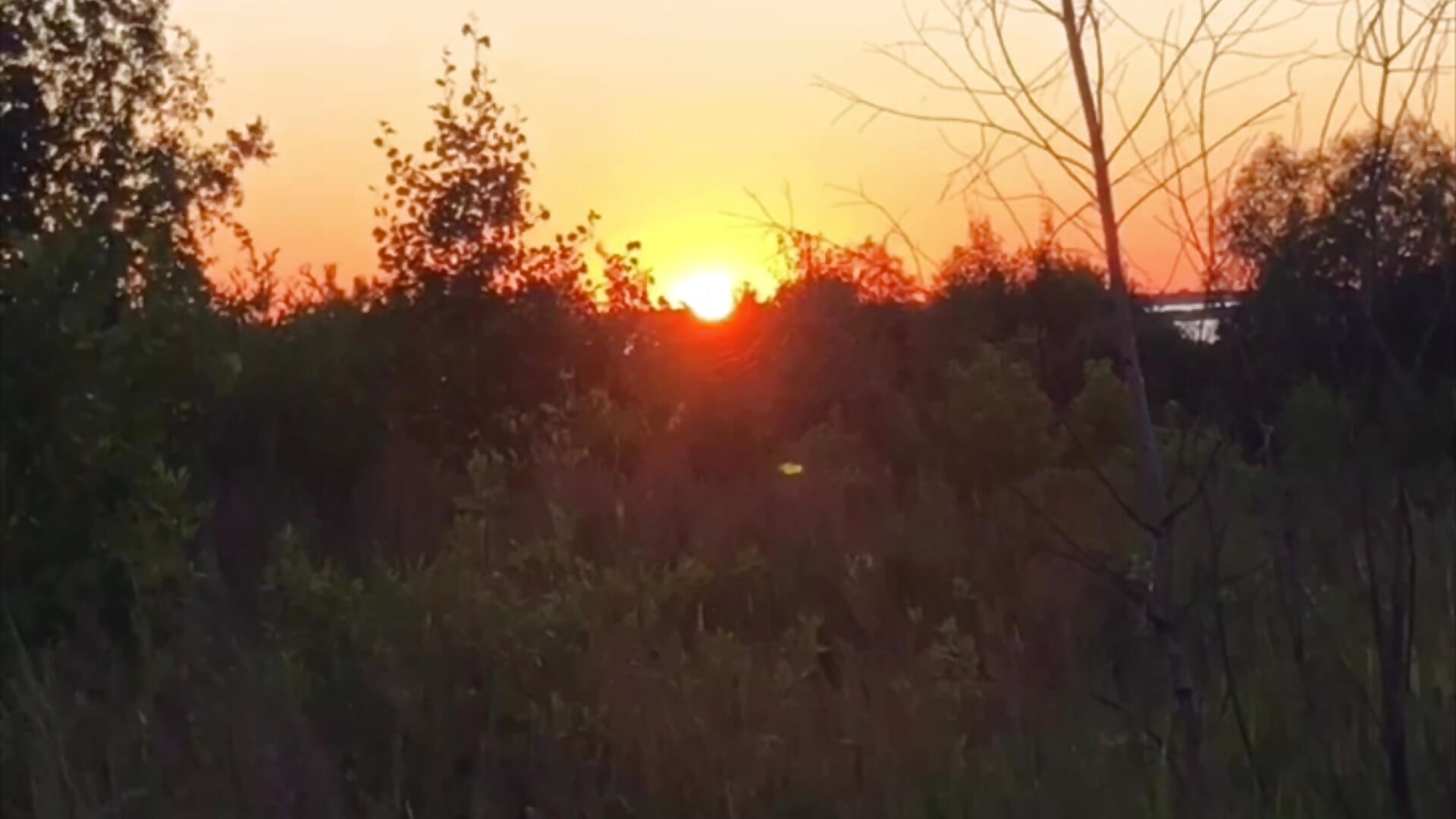I'm an artist, that's how I see it 🌅 - vídeo de la modelo de cam RussianFuck777