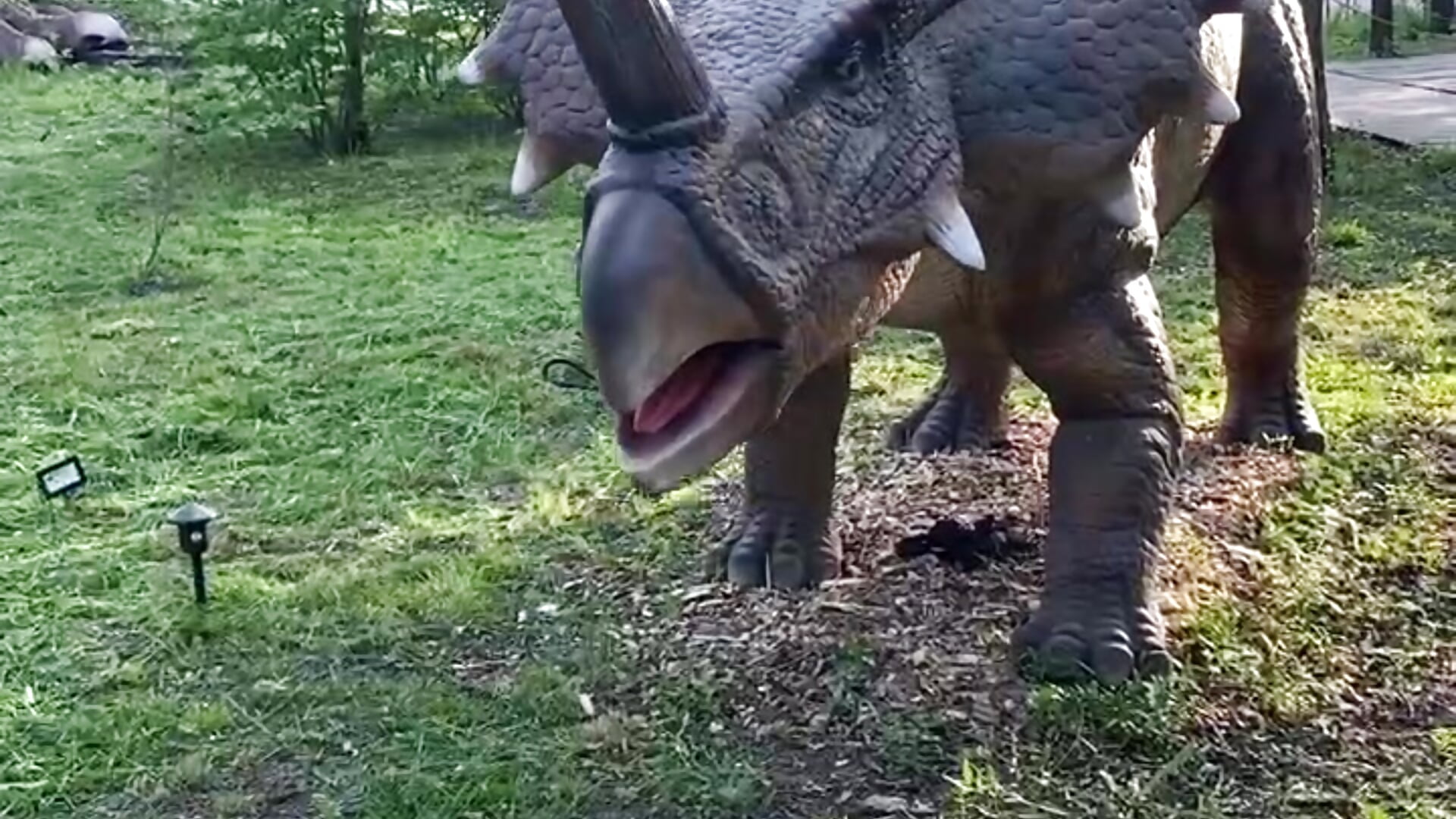 dino– Rada_Kisss kameramodell videója