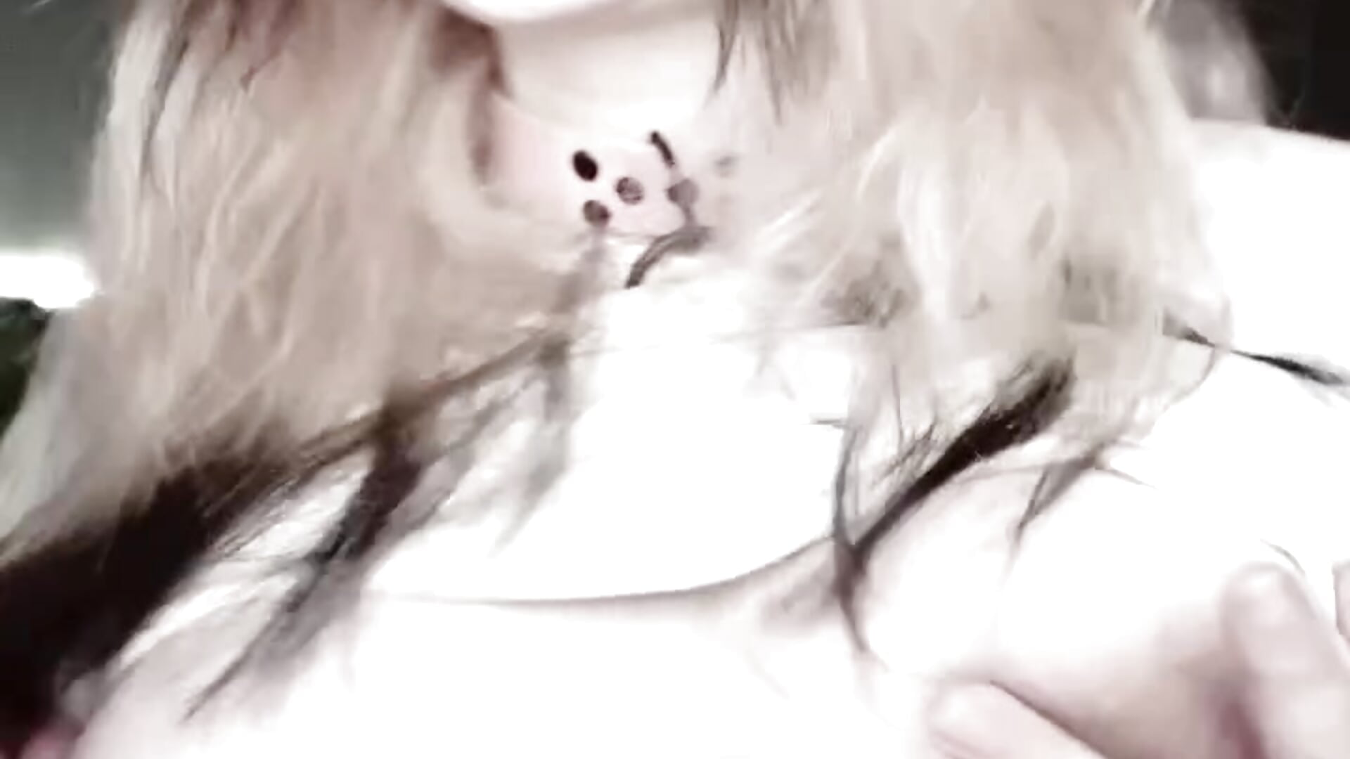 BOOBIE ALERT!!!