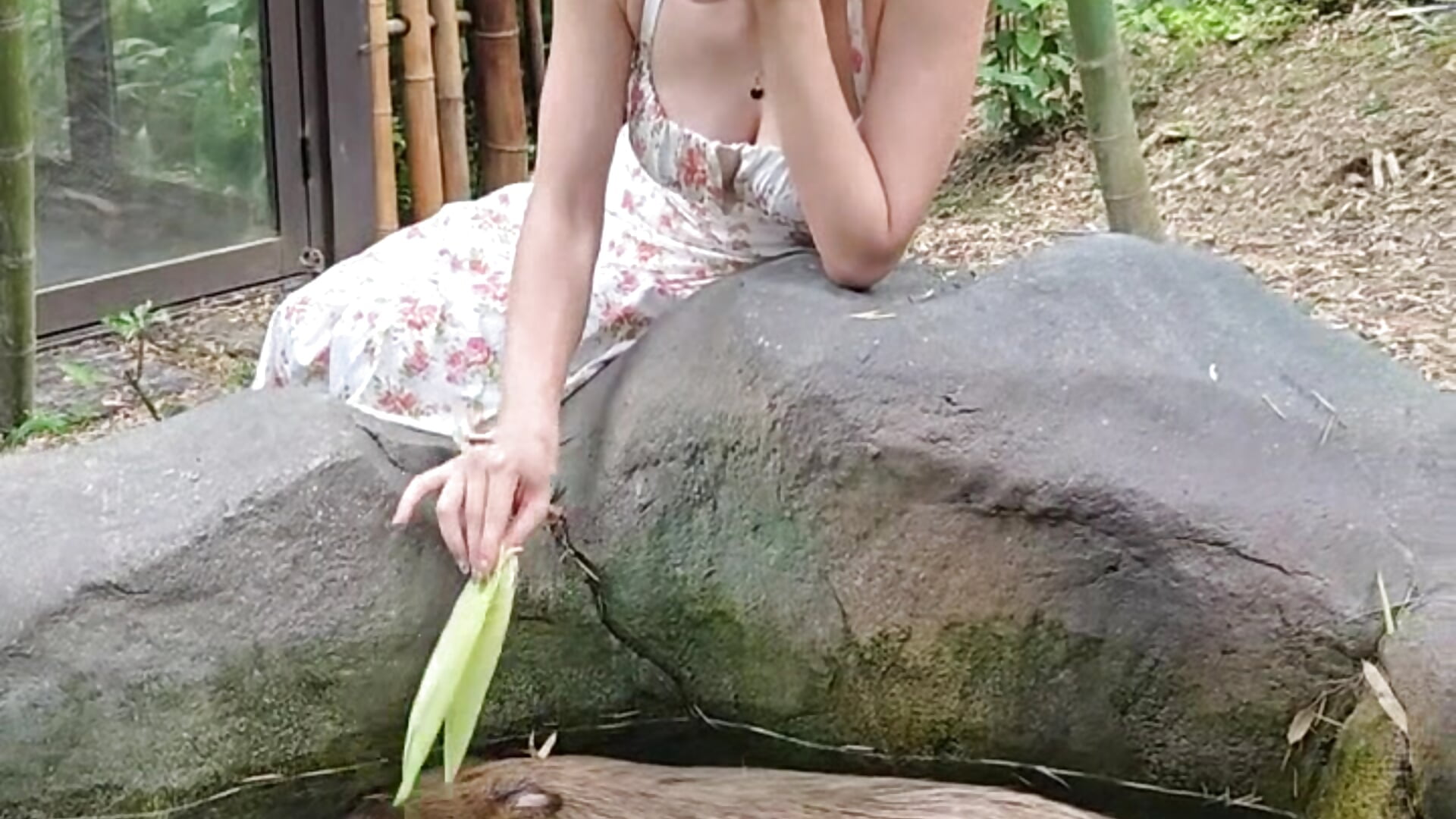 Capybara Soft