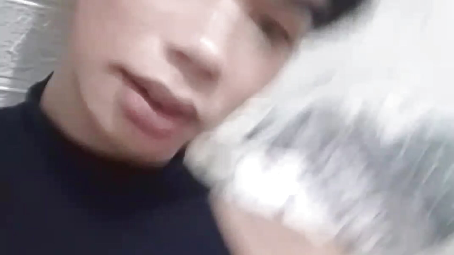 rhexiisipi