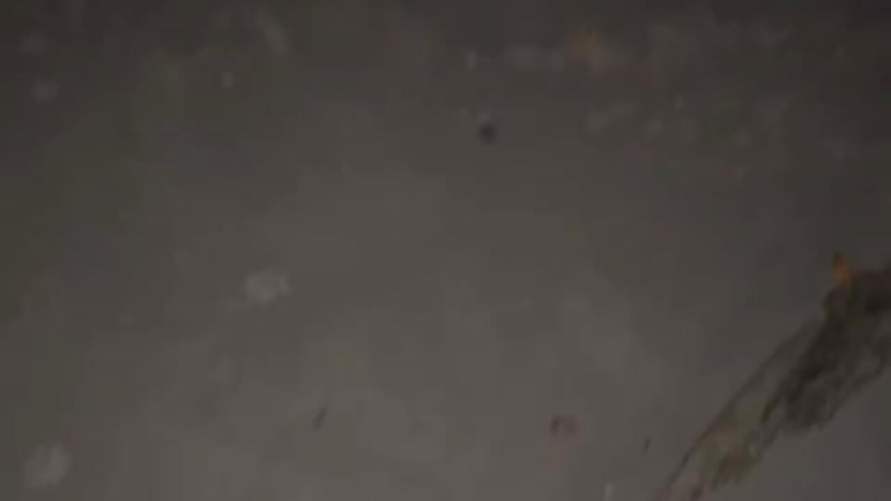 In the night sea - video di Dave_miillerr_ modella di cam