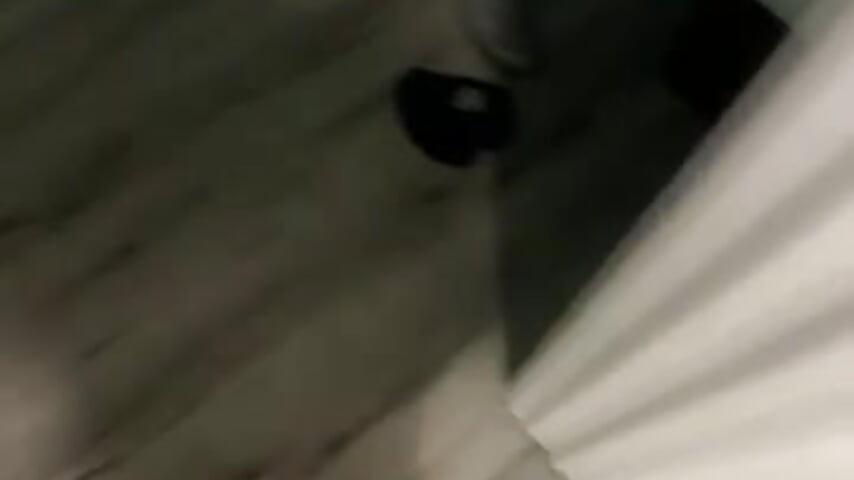 80910033865__A655871A-232B-41B3-B307-EAB42C845E6C – видео вебкам-модели mangogetit2121