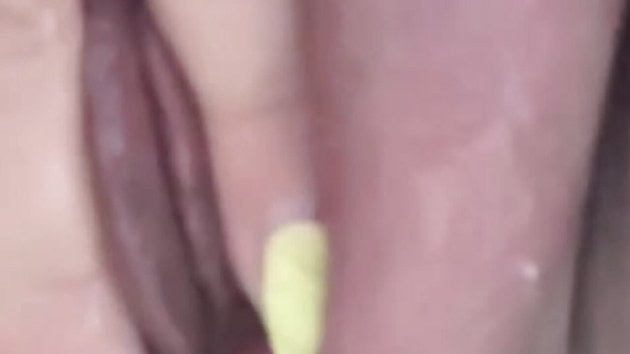 😋😍👿👿🤤🤤 - video oleh veraluz1975 kamera model