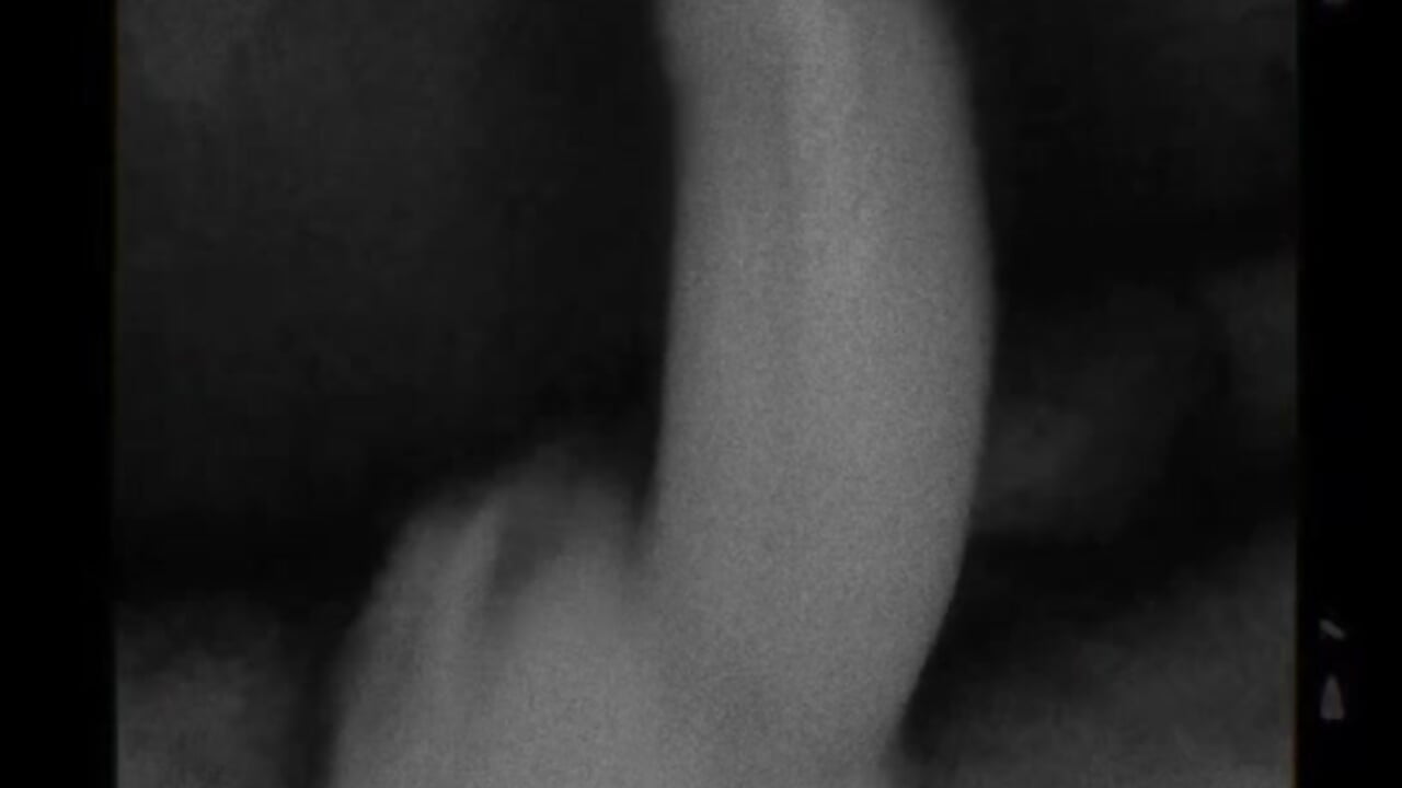 🥵💦 – video modela na kameri OffkeyShaman