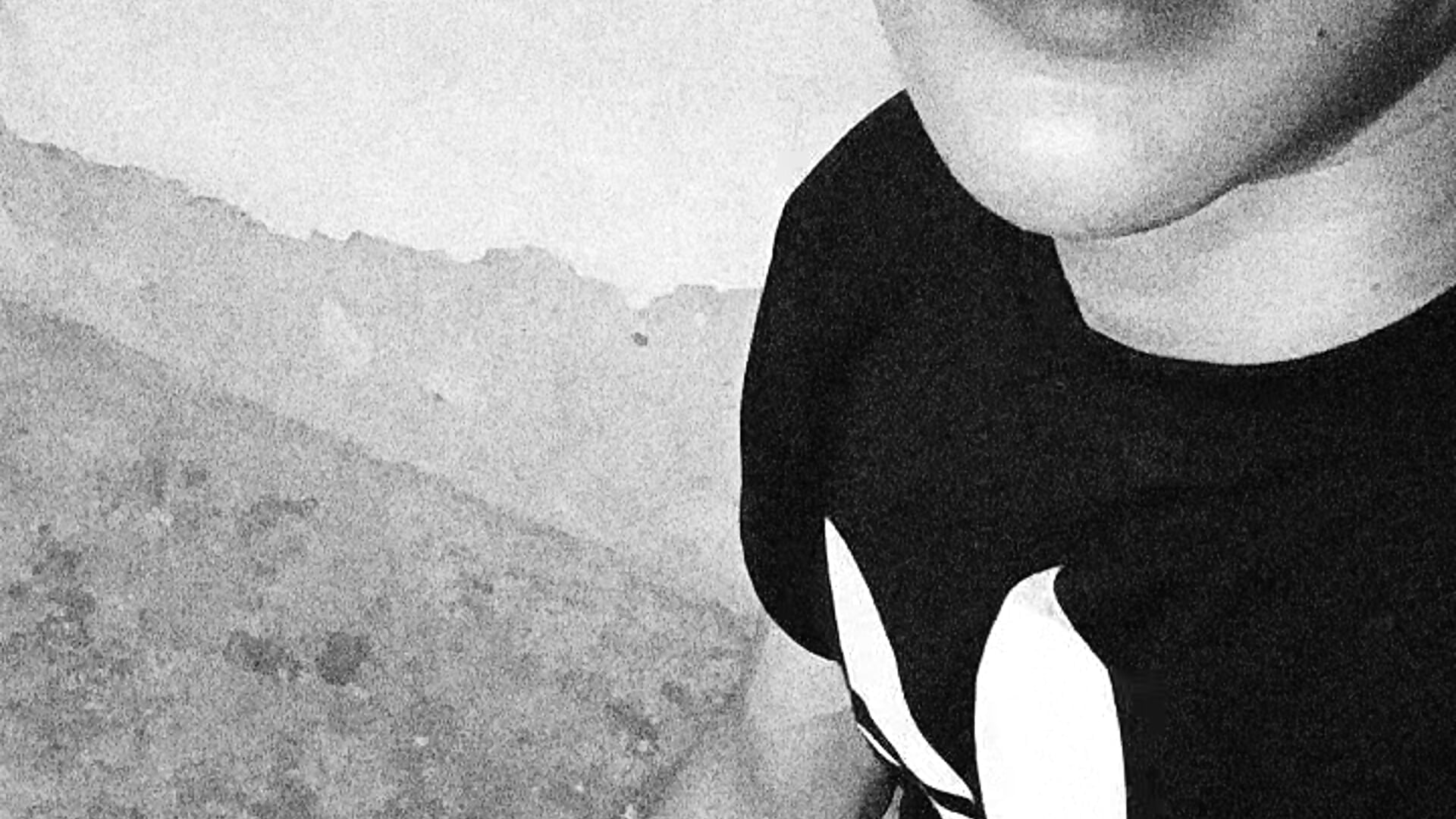 👋🏻 - clip cu _jhose_ model videochat