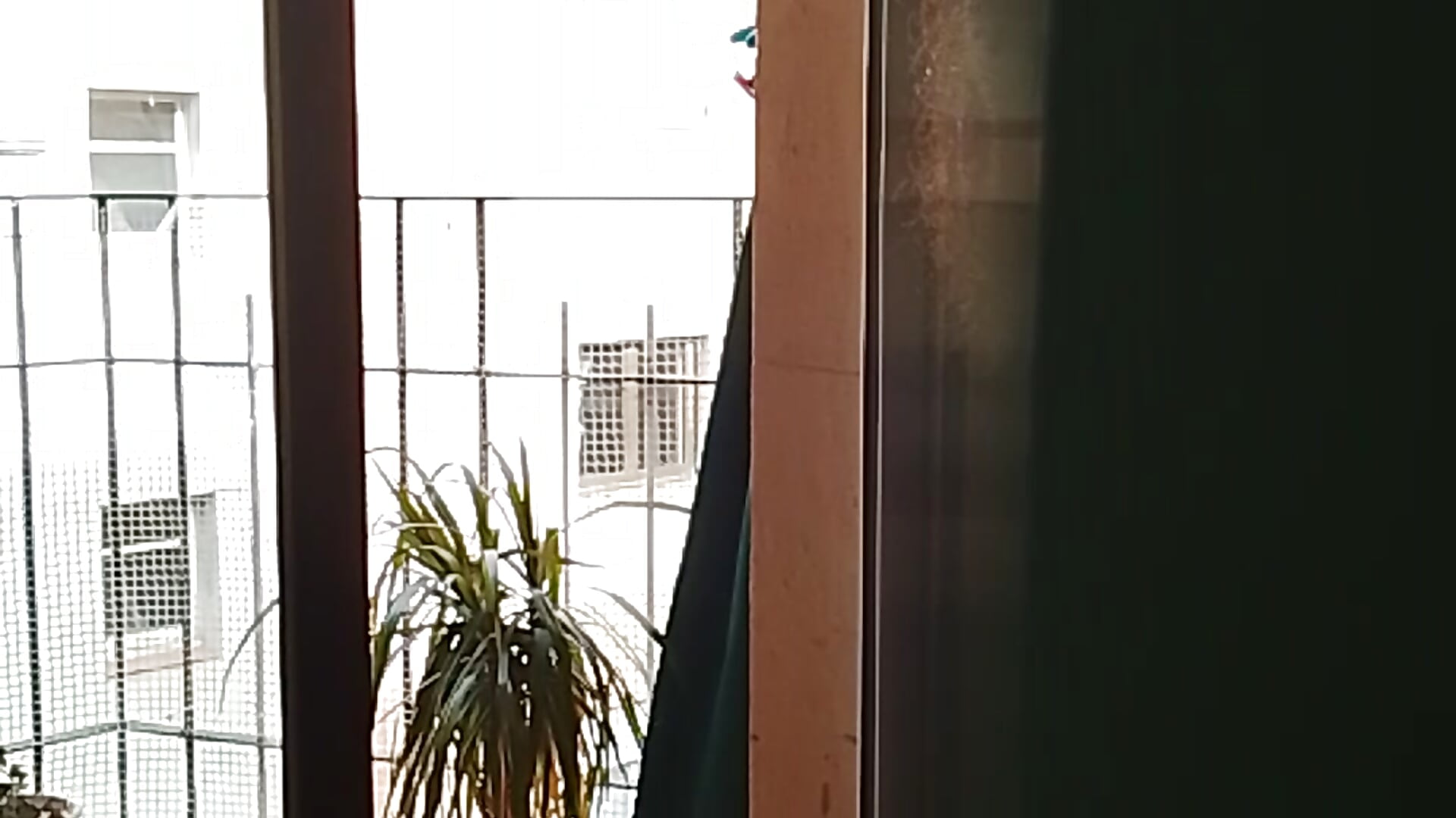 En casa muy fresquito - video od modelky/modela Miriamo