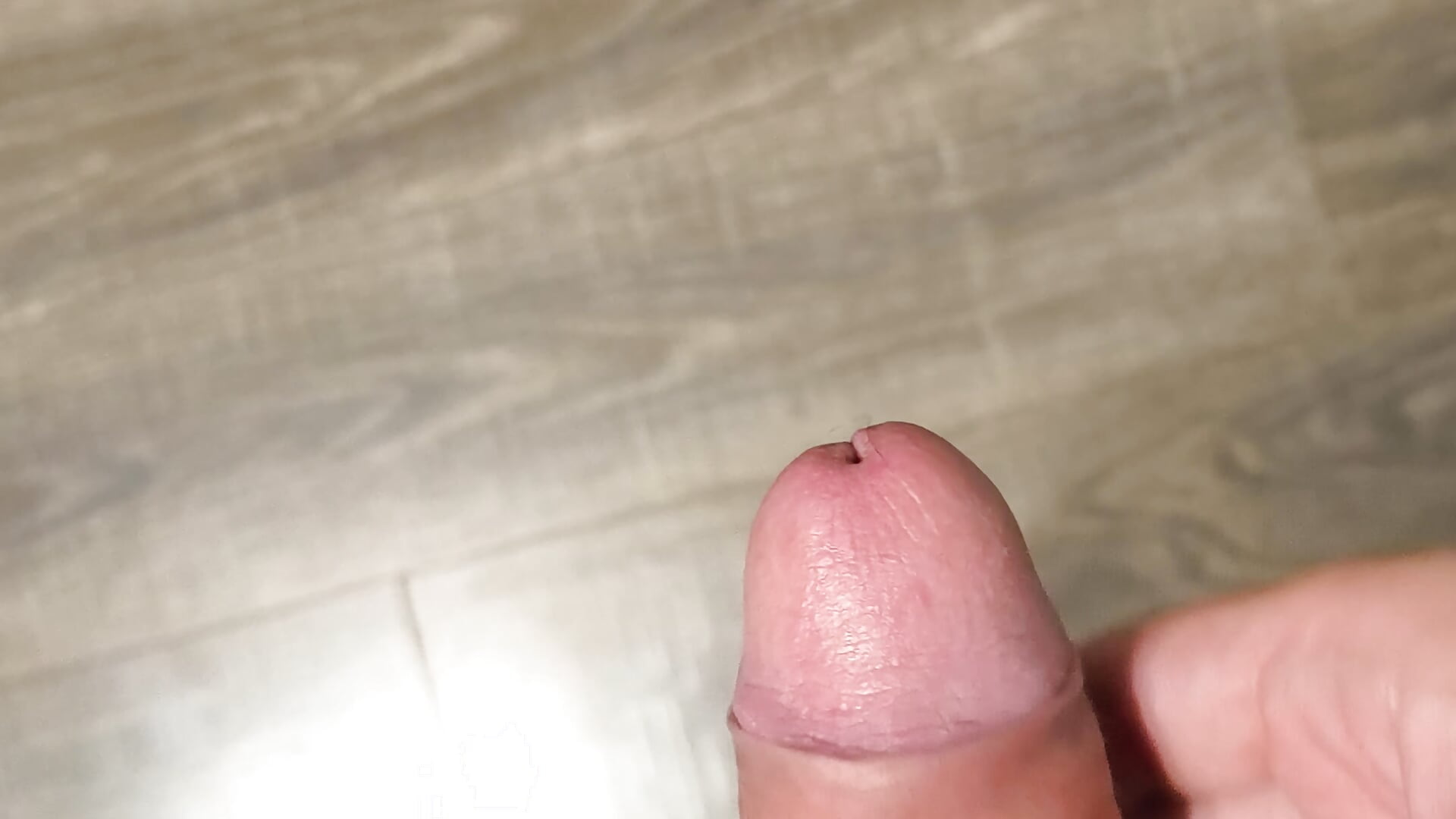 Playing with my dick - סרטון של Skreppi_koko, דוגמן/ית מצלמה