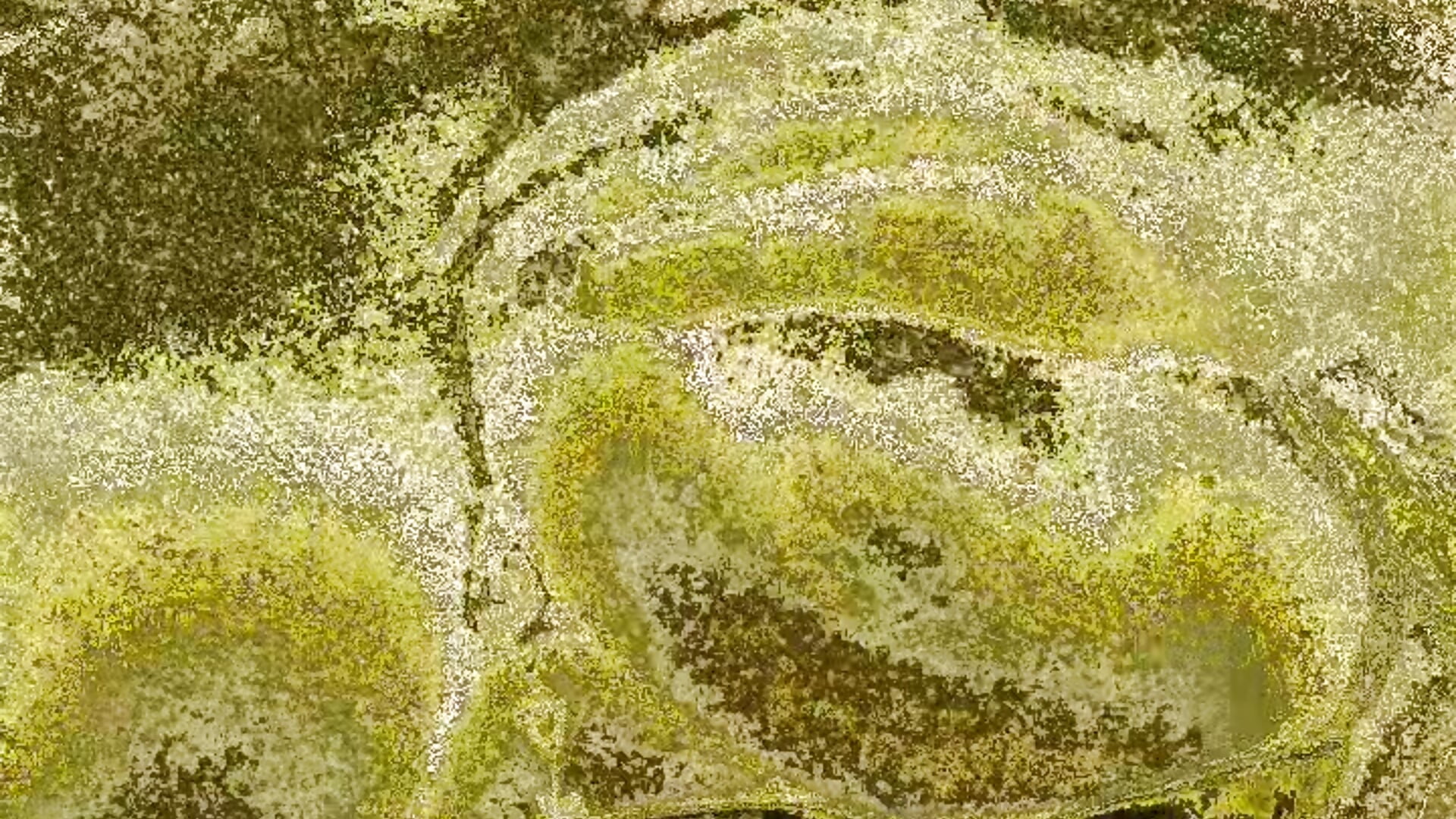 1000192791 - 視頻由 chiquisabrotza 主播提供