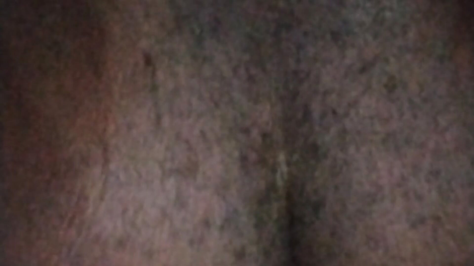 VID_20260817_194909 - video by pashasha2