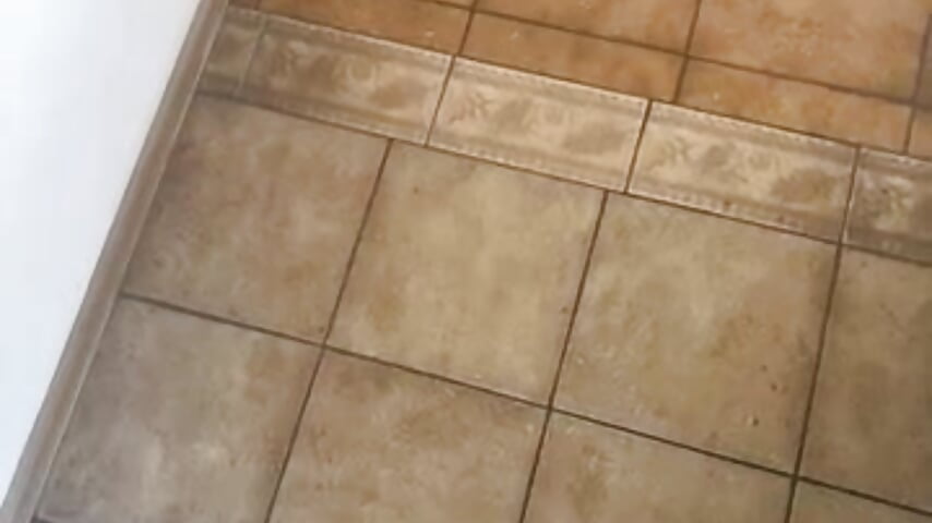 80875307517__95B978C4-786A-40A3-A0E6-C7FA5EC701CC - video by punka83i