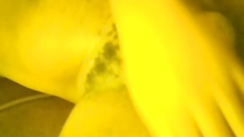 VID-20260817-WA0061 - Vídeo de Dicker_003, modelo de vídeos