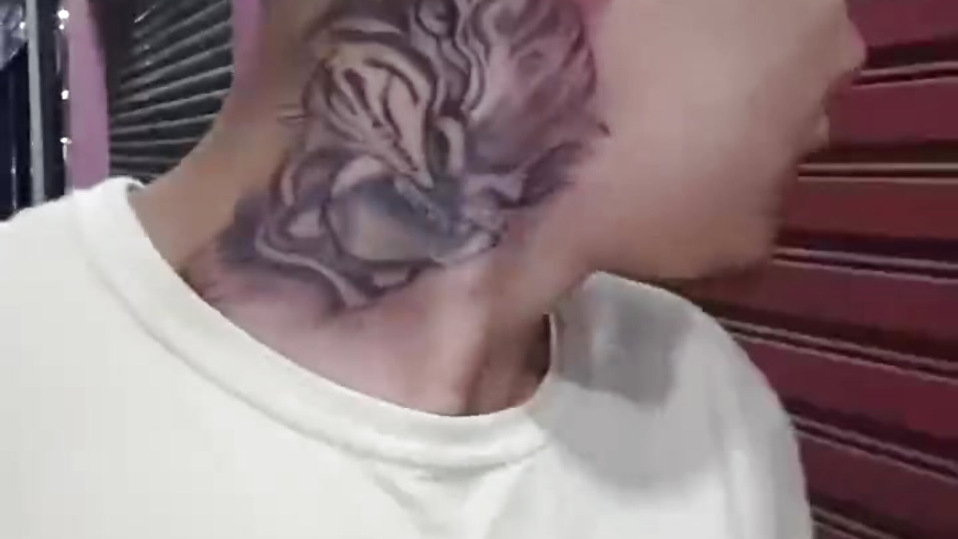tatoo nova - video oleh model kamera Aveliko98