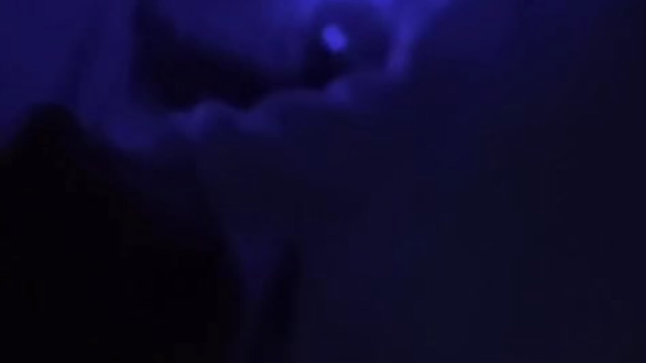 chupetinha - video oleh Aveliko98 kamera model