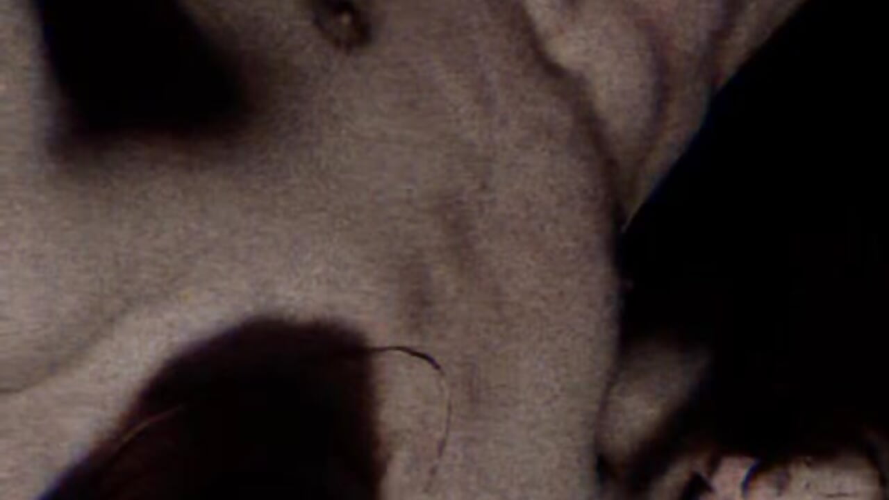 Alex🍆 - video by Alex_TheWolf