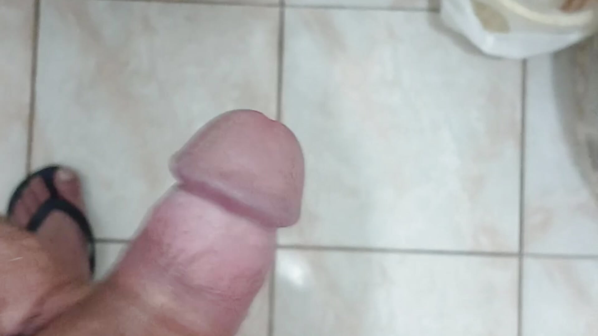 VID-20260612-WA0004 - video by paudemelkle