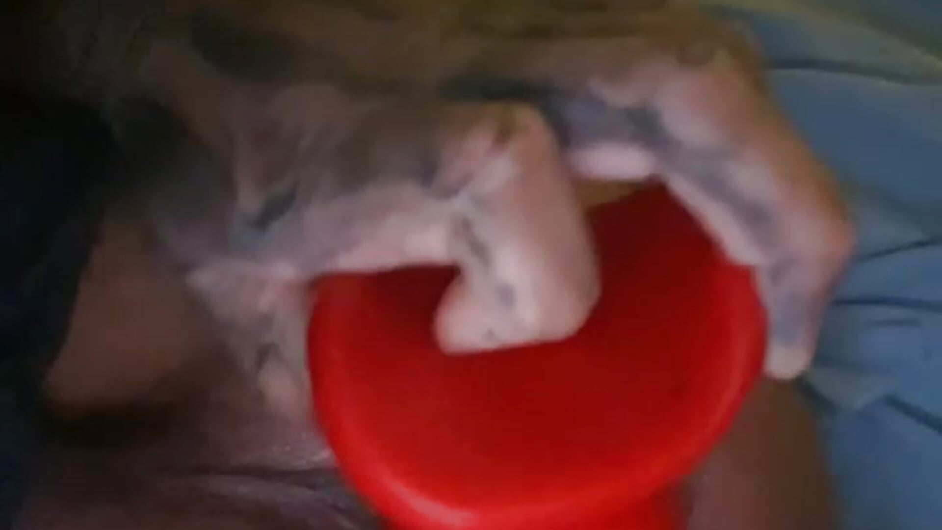 Big Butt Plug Fills Me Upp - video by jayhigh96
