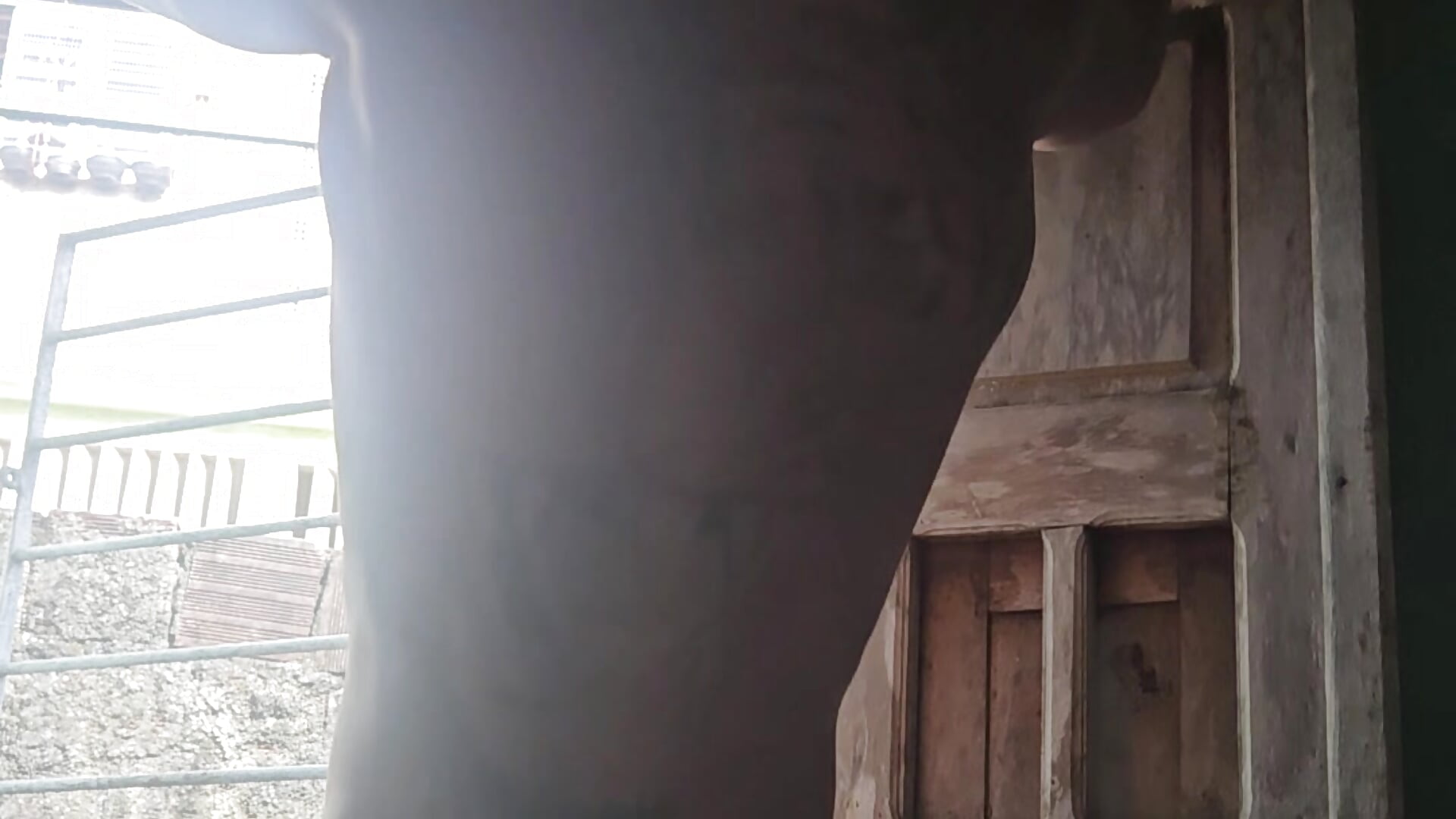 20260716_140010 - video by tiradordecabaco