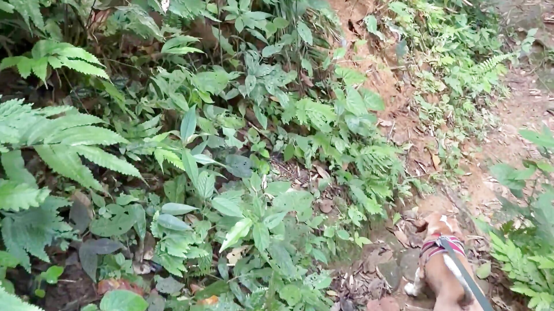 Hermoso paisaje agua natural 🌴🍀❤️ – video od webkamerové modelky Arizaa1
