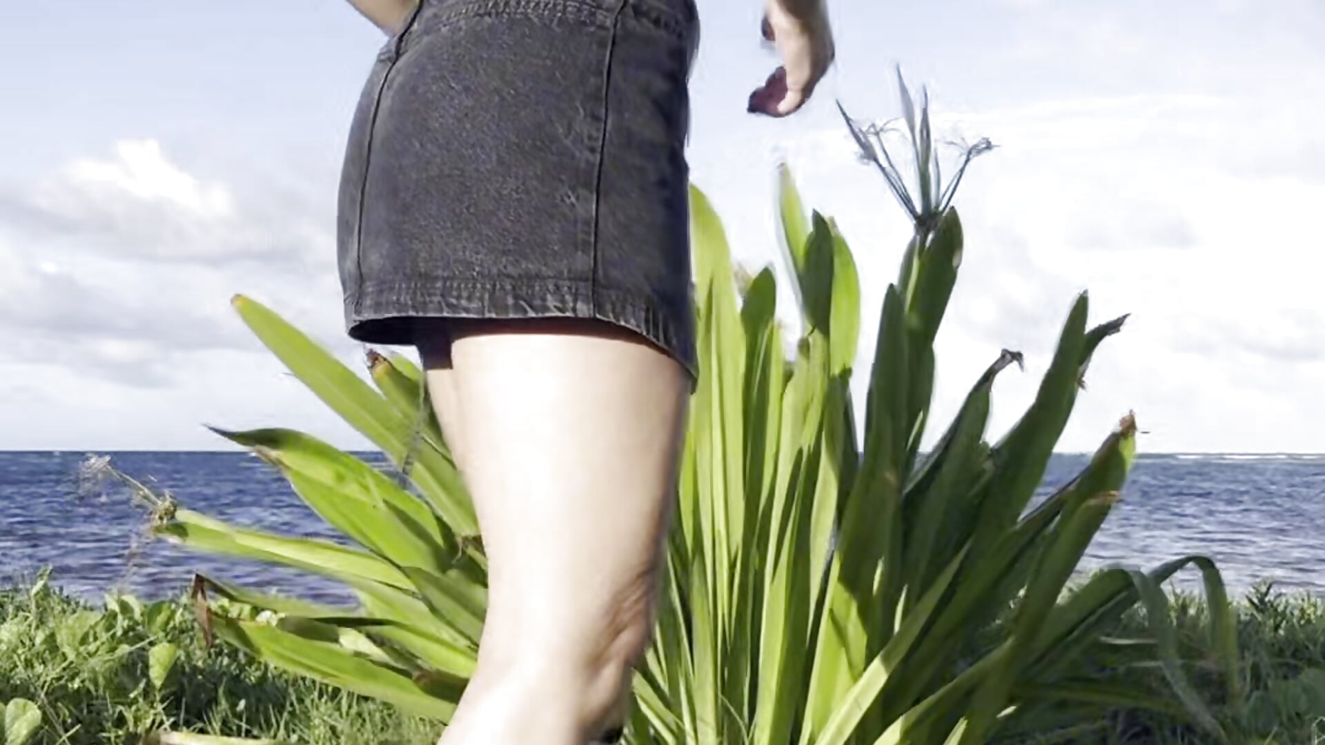 copy_6509649B-C617-40B4-8CA5-E8E6F02A085A - video av TMW-01 cam-modell