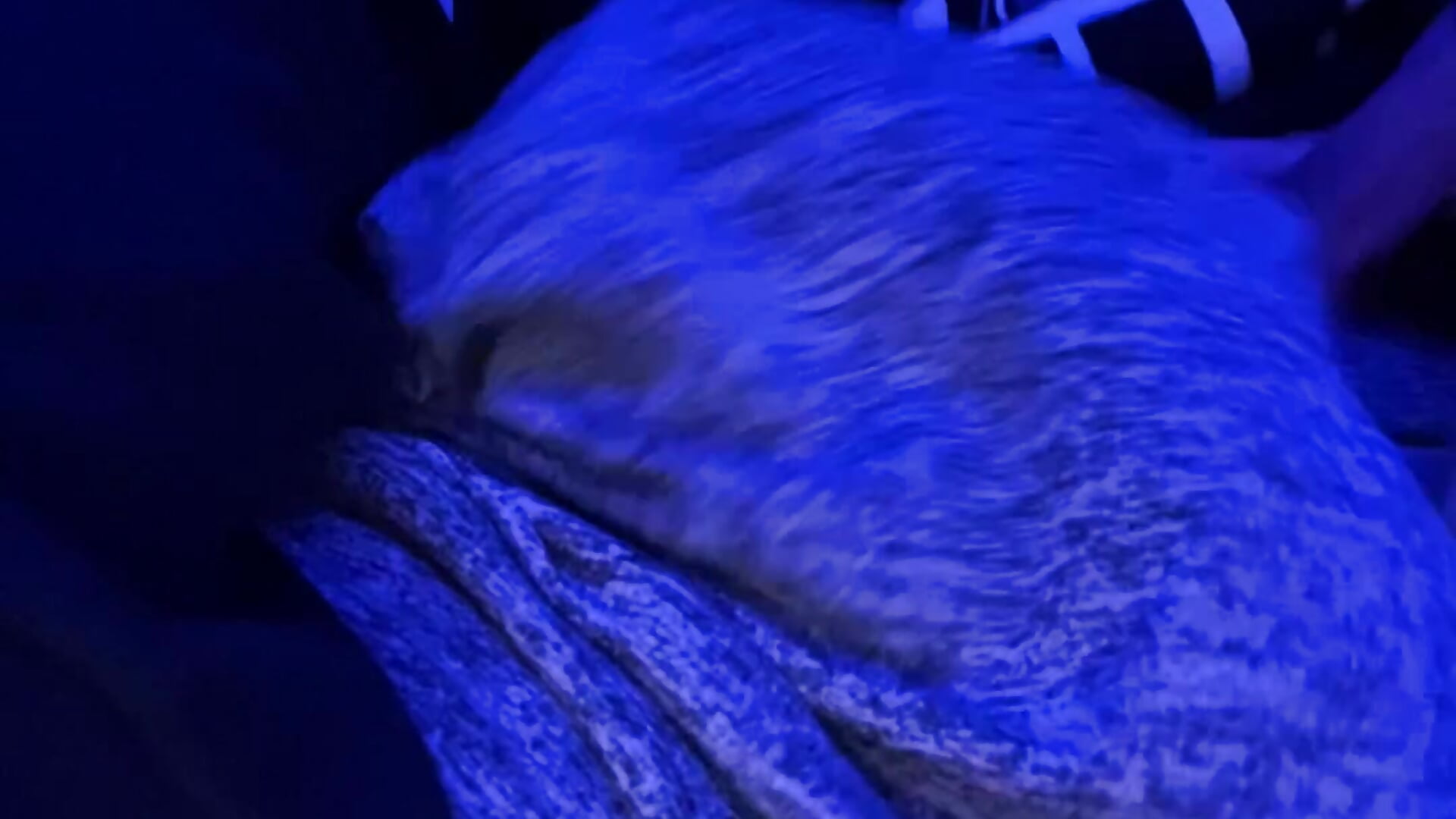 Uff que calor - Video von jack_thomsom Cam-Model